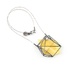 GeoAmber II